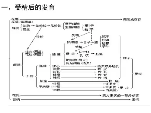 高中生物竞赛课件：第五节：植物果实