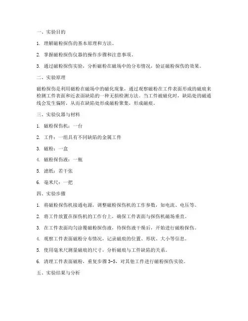 磁粉磁场实验报告