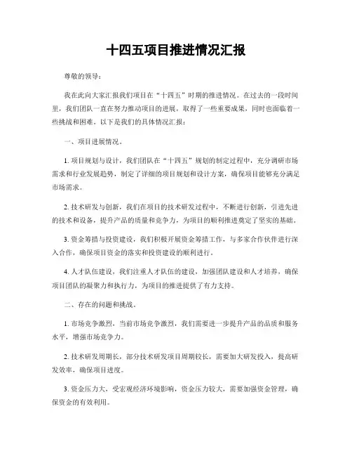 十四五项目推进情况汇报