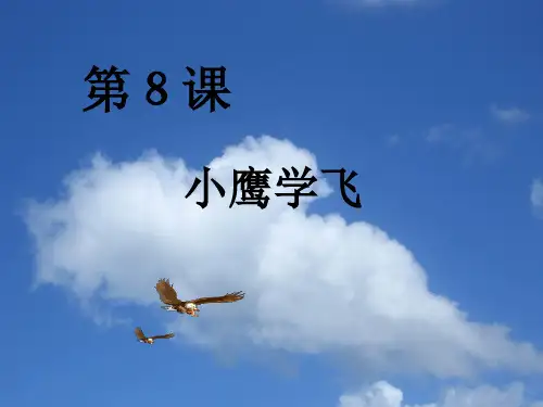 二年级上册语文课件-8 小鹰学飞_苏教版(2016)