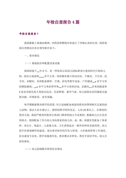 年检自查报告4篇