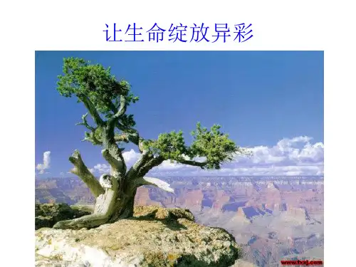 让生命绽放异彩