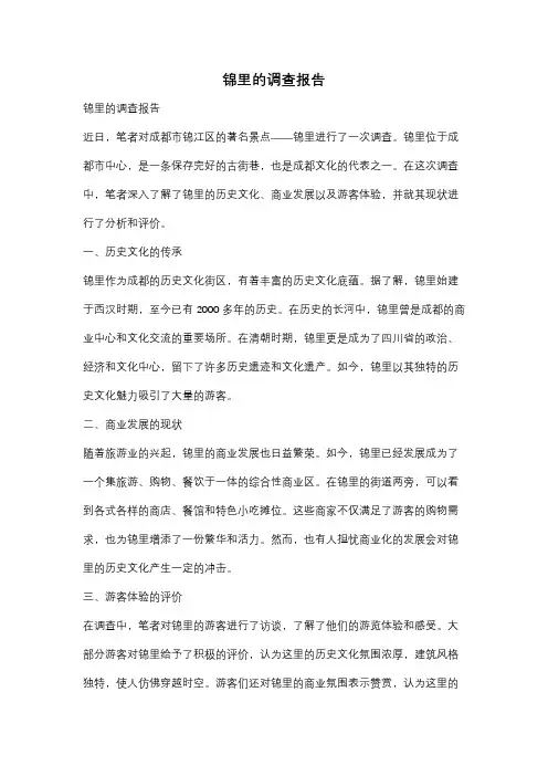 锦里的调查报告