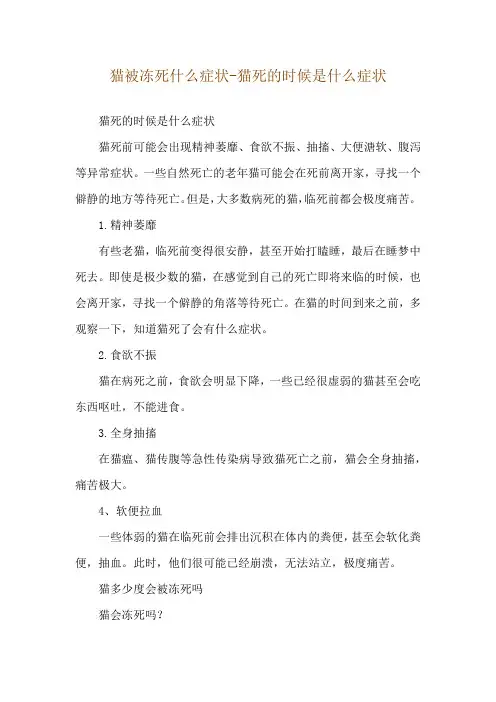 猫被冻死什么症状-猫死的时候是什么症状
