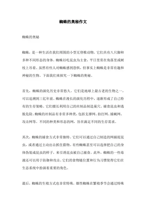 蜘蛛的奥秘作文