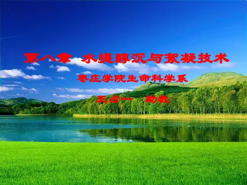 第八章 水提醇沉和絮凝技术