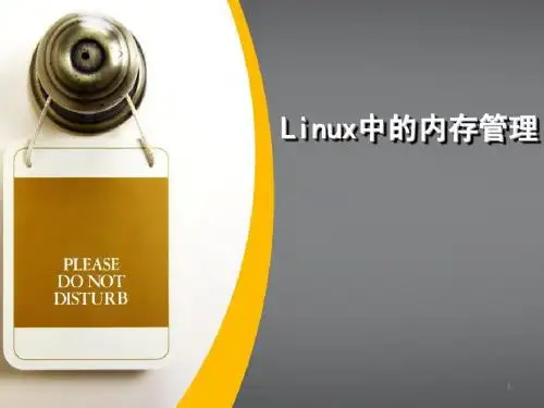 【8】linux中的内存管理