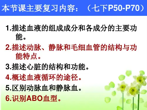 循环系统复习