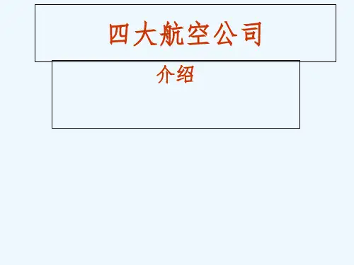 四大航空公司简介