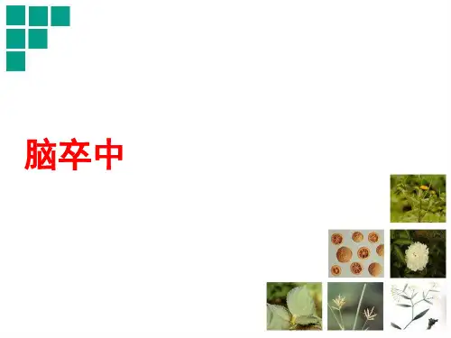 脑卒中  ppt课件