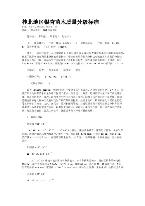 桂北地区银杏苗木质量分级标准