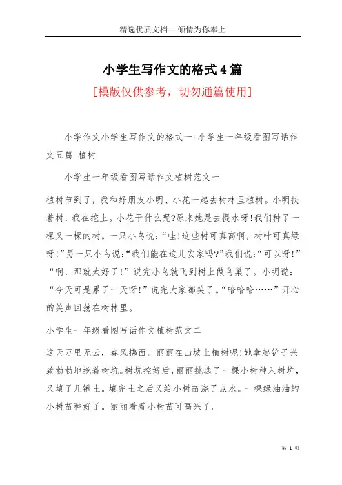 小学生写作文的格式4篇(共8页)