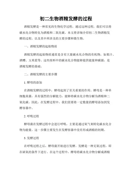 初二生物酒精发酵的过程