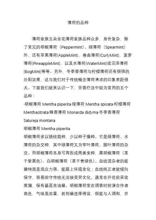 薄荷的品种