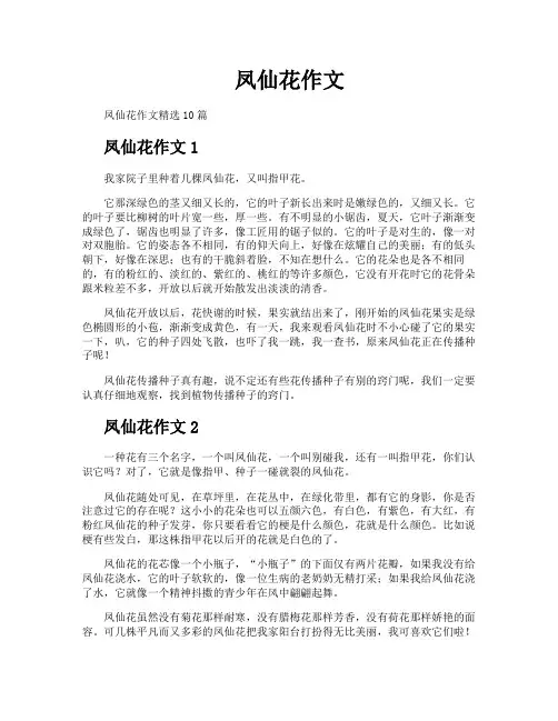 凤仙花作文