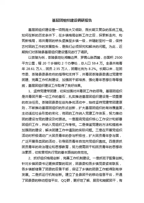 基层团组织建设调研报告