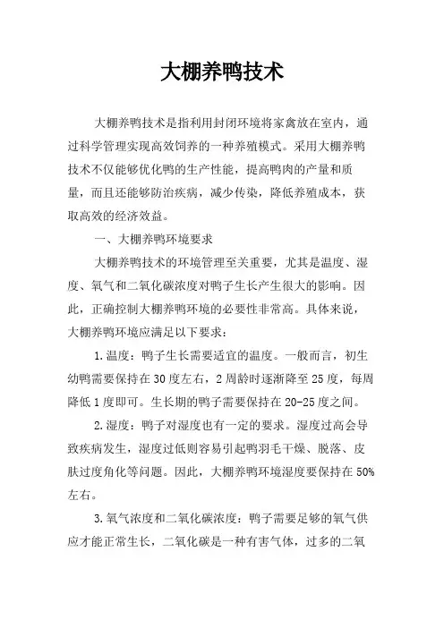 大棚养鸭技术
