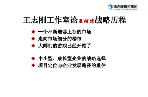 王志刚工作室论星河湾战略历程79p
