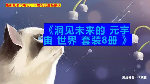 《洞见未来的 元宇宙 世界 套装8册 》读书笔记思维导图PPT模板下载