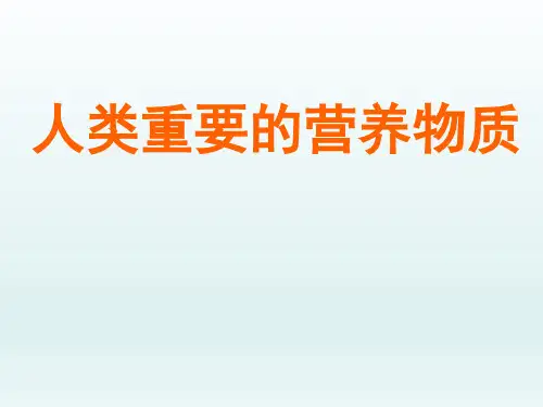 初中九年级化学课精品PPT教学课件-人类重要的营养物质