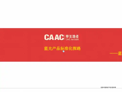 蓝光产品标准化探路PPT课件