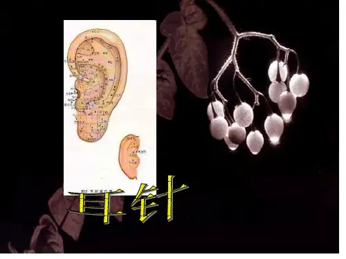 耳穴疗法喻伟强