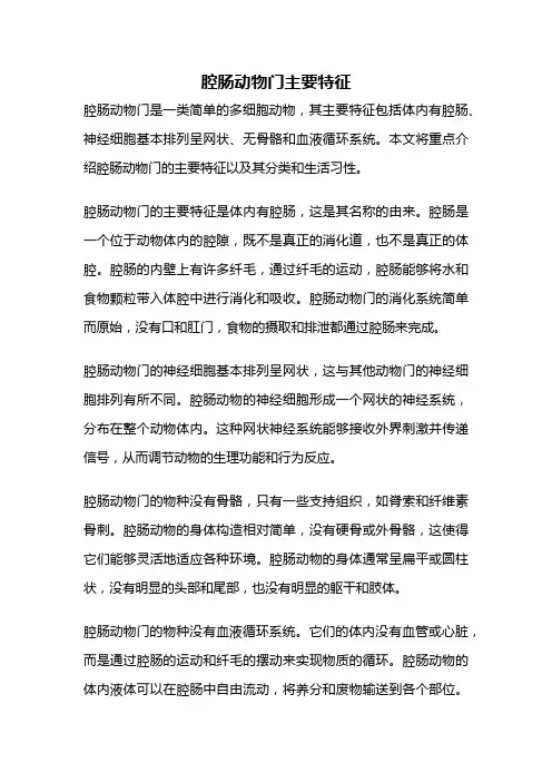 腔肠动物门主要特征
