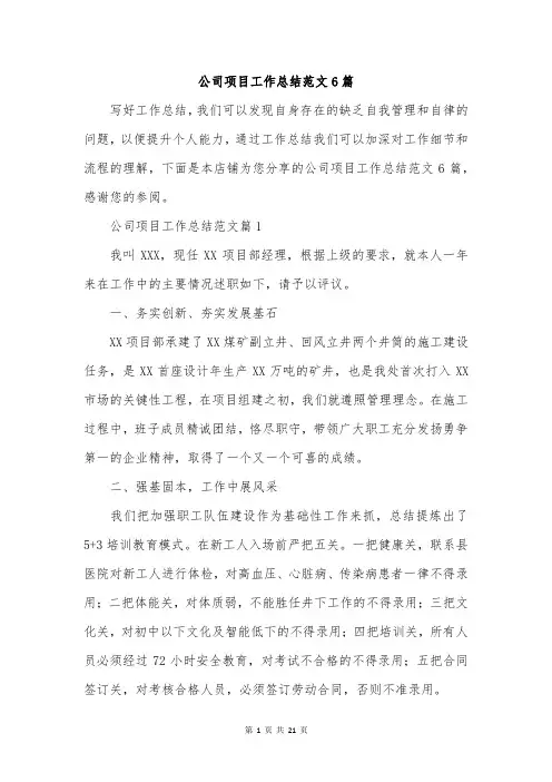 公司项目工作总结范文6篇