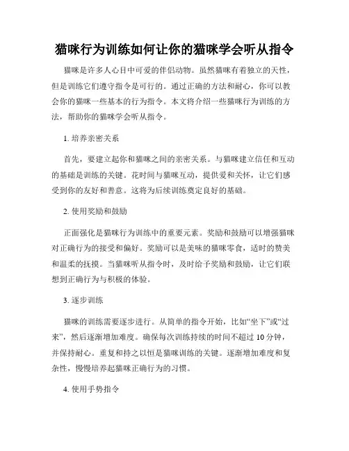 猫咪行为训练如何让你的猫咪学会听从指令