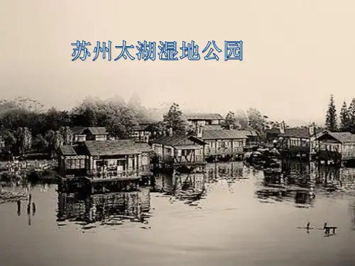 太湖湿地公园