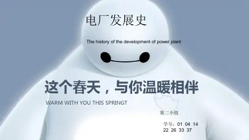 火电厂发展史