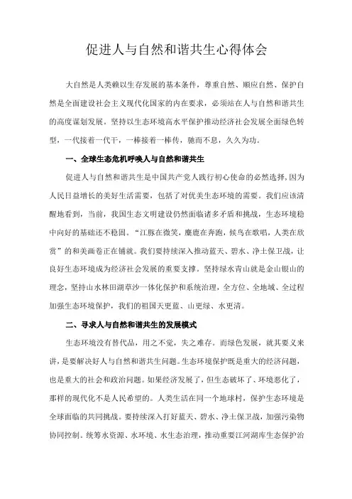 促进人与自然和谐共生心得体会