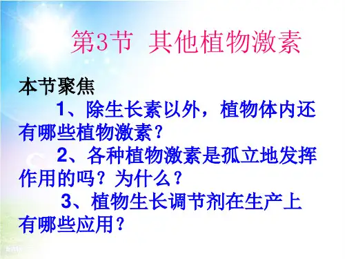 人教版生物必修三3.3其他植物激素(共24张)