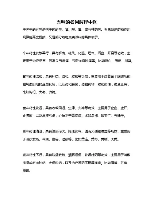 五味的名词解释中医