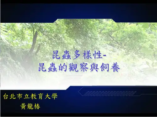 昆虫多样性昆虫的观察与饲养