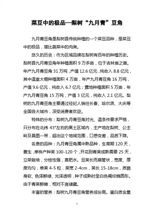 梨树“九月青”豆角