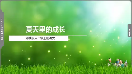 夏天里的成长课件(共22张PPT)