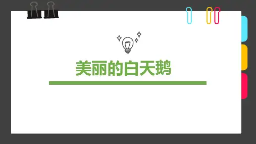5岁-8岁油画棒《美丽的白天鹅》—美术课件