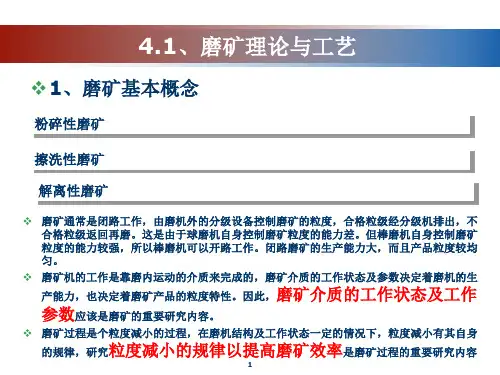 磨矿设备与工艺流程详解ppt课件.ppt