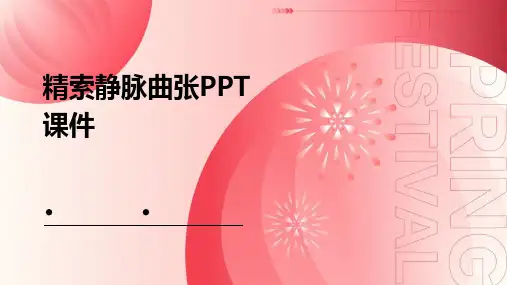 精索静脉曲张ppt课件
