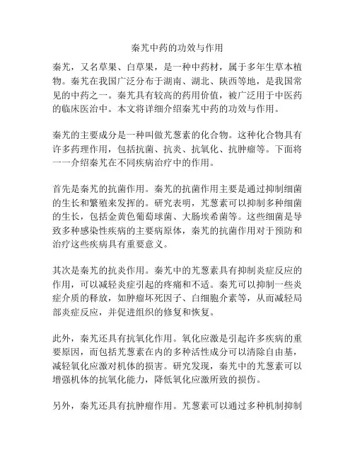 秦艽中药的功效与作用