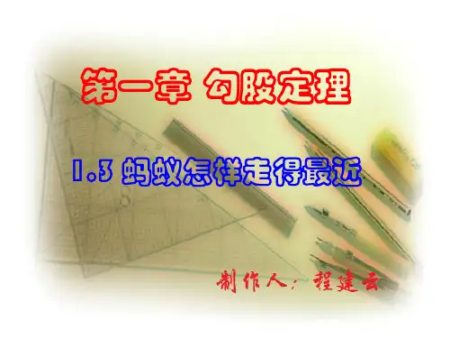 北师大版八年级上册数学课件.3.1 勾股定理的应用(共19张PPT)
