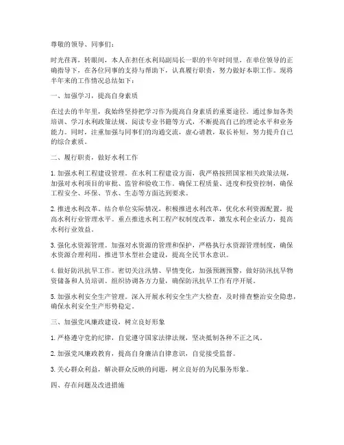 水利副局长半年工作总结