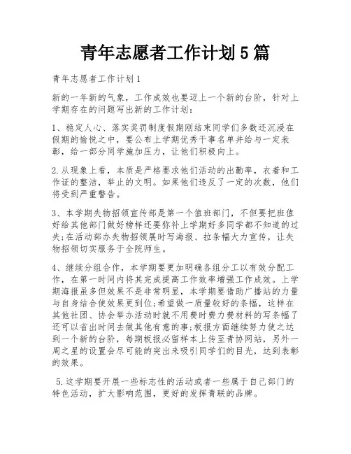 青年志愿者工作计划5篇
