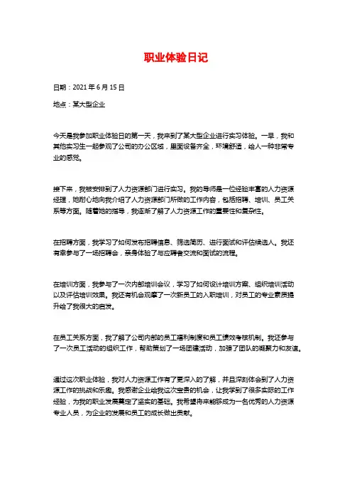 职业体验日记