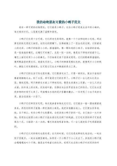 我的动物朋友可爱的小鸭子范文