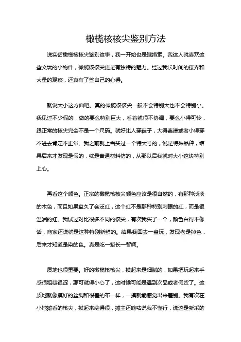 橄榄核核尖鉴别方法