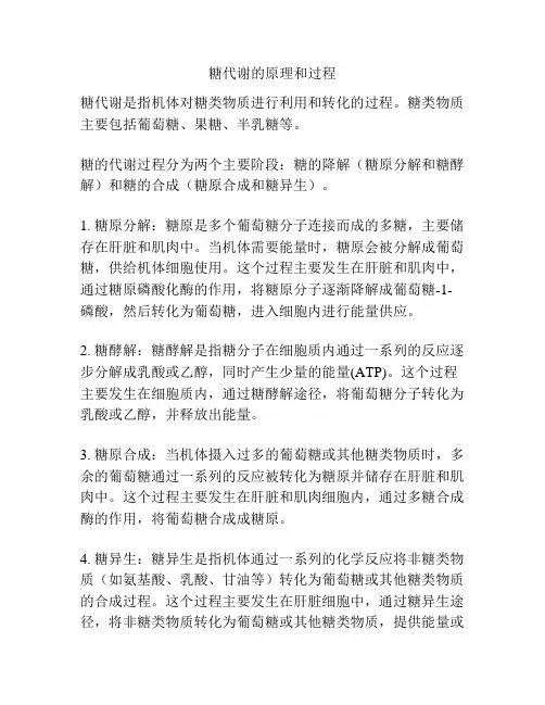 糖代谢的原理和过程
