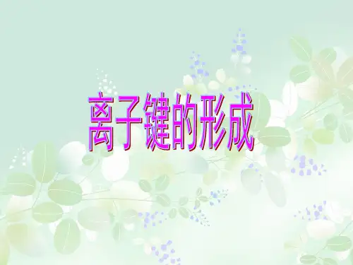 离子键的形成PPT精品课件