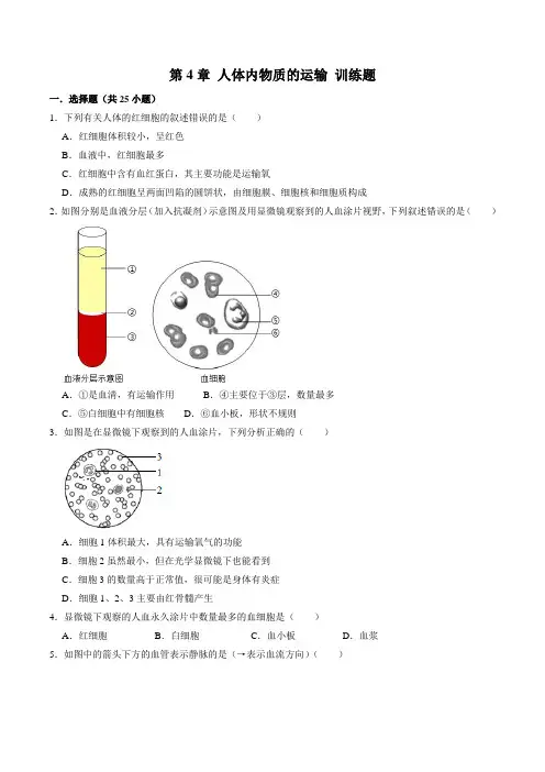 人教版七年级生物下册 第4章人体内物质的运输训练题(含答案)